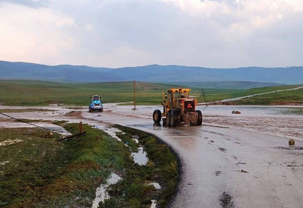 Sağanak felakete döndü! Evler sular altında kaldı onlarca hayvan telef oldu 5